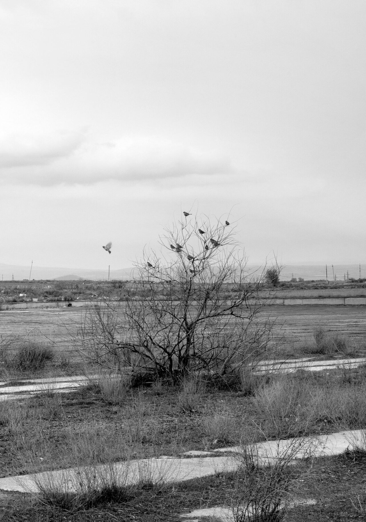 AB_F_80.001.L